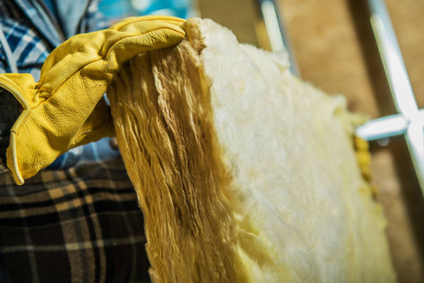 Best Cellulose Insulation in Tres Arroyos, NM
